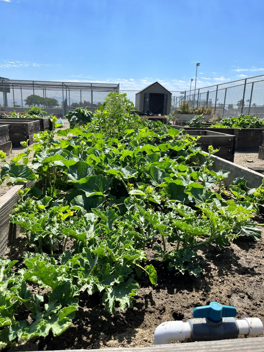 Garden Club Spotlight