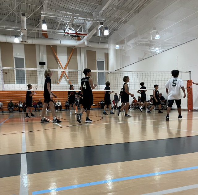 Costa Mesa Boys Volleyball: Look At How The Boys “Rule The&nbsp;Court”